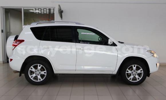 Buy Used Toyota RAV4 White Car in Windhoek in Namibia Buy Used Toyota RAV4 White Car in Windhoek in Namibia