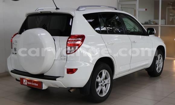 Buy Used Toyota RAV4 White Car in Windhoek in Namibia Buy Used Toyota RAV4 White Car in Windhoek in Namibia