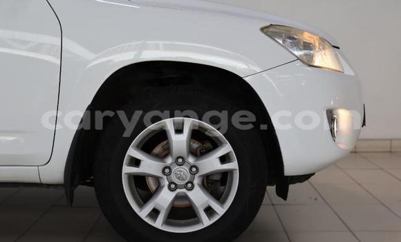 Buy Used Toyota RAV4 White Car in Windhoek in Namibia Buy Used Toyota RAV4 White Car in Windhoek in Namibia