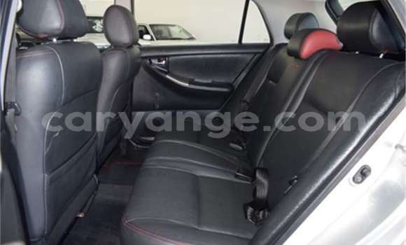 Buy Used Toyota Runx Silver Car in Windhoek in Namibia Buy Used Toyota Runx Silver Car in Windhoek in Namibia