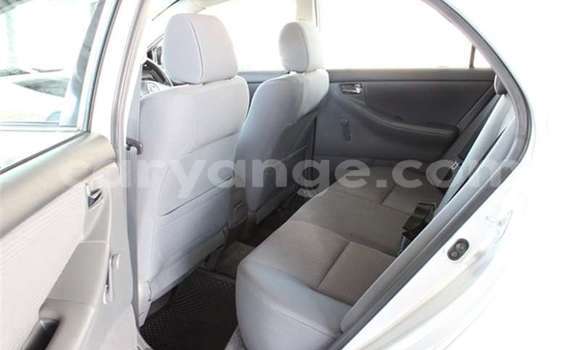 Buy Used Toyota Corolla Silver Car in Windhoek in Namibia Buy Used Toyota Corolla Silver Car in Windhoek in Namibia