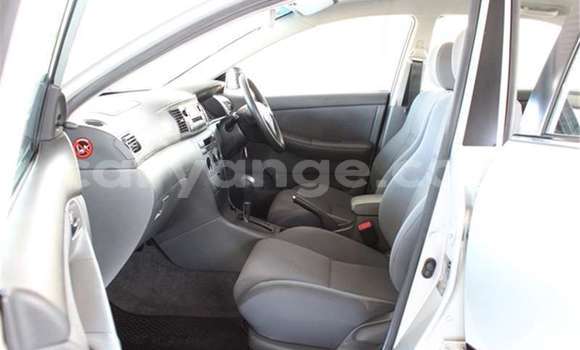 Buy Used Toyota Corolla Silver Car in Windhoek in Namibia Buy Used Toyota Corolla Silver Car in Windhoek in Namibia