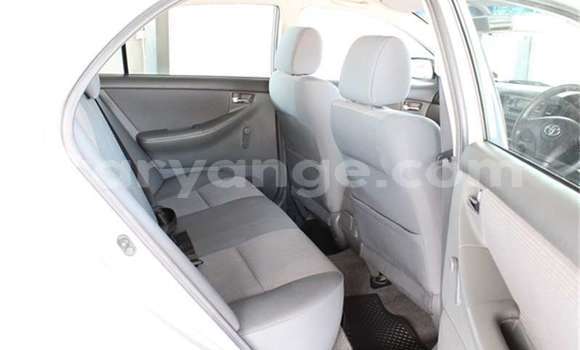 Buy Used Toyota Corolla Silver Car in Windhoek in Namibia Buy Used Toyota Corolla Silver Car in Windhoek in Namibia