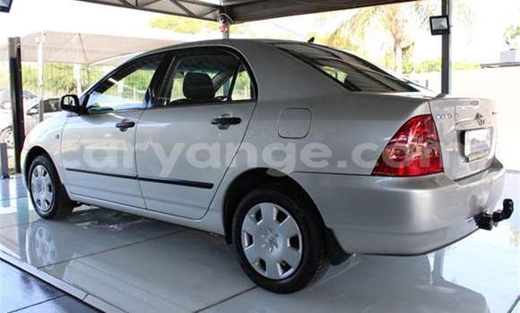 Buy Used Toyota Corolla Silver Car in Windhoek in Namibia Buy Used Toyota Corolla Silver Car in Windhoek in Namibia