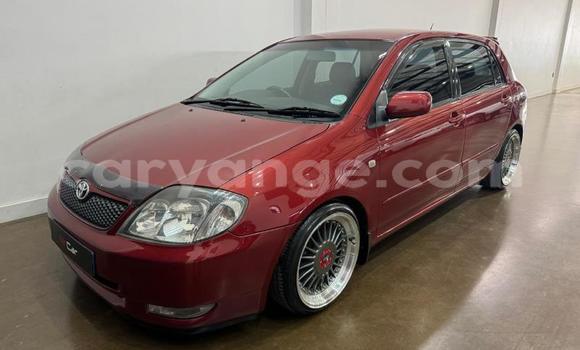 Buy Used Toyota Runx Red Car in Windhoek in Namibia Buy Used Toyota Runx Red Car in Windhoek in Namibia