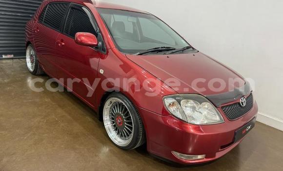 Buy Used Toyota Runx Red Car in Windhoek in Namibia Buy Used Toyota Runx Red Car in Windhoek in Namibia