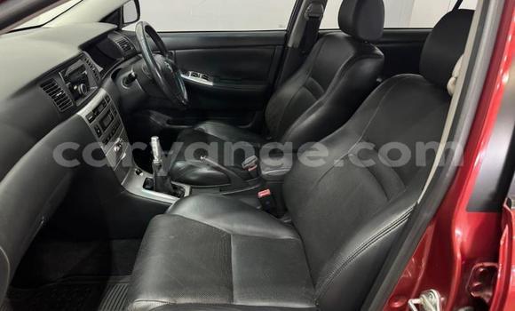 Buy Used Toyota Runx Red Car in Windhoek in Namibia Buy Used Toyota Runx Red Car in Windhoek in Namibia