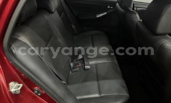 Buy Used Toyota Runx Red Car in Windhoek in Namibia Buy Used Toyota Runx Red Car in Windhoek in Namibia