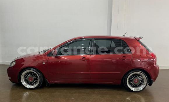 Buy Used Toyota Runx Red Car in Windhoek in Namibia Buy Used Toyota Runx Red Car in Windhoek in Namibia