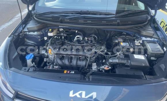Buy Used Kia Rio Other Car in Windhoek in Namibia Buy Used Kia Rio Other Car in Windhoek in Namibia