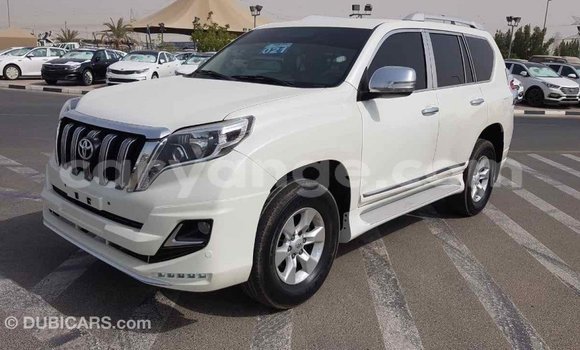 Acheter Import Voiture Toyota Prado Blanc à Import - Dubai, Namibie Acheter Import Voiture Toyota Prado Blanc à Import - Dubai, Namibie