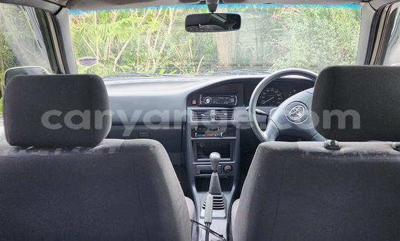 Buy Used Toyota Tacoma Brown Car in Windhoek in Namibia Buy Used Toyota Tacoma Brown Car in Windhoek in Namibia