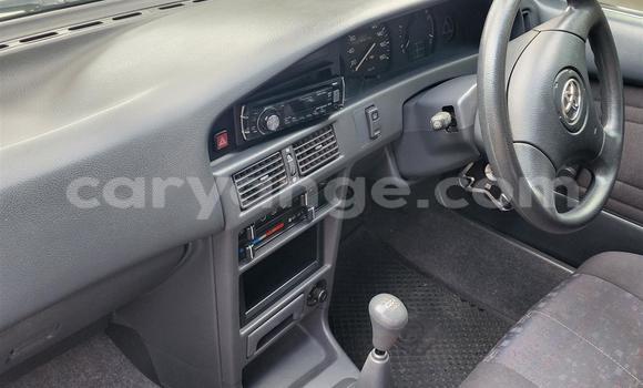 Buy Used Toyota Tacoma Brown Car in Windhoek in Namibia Buy Used Toyota Tacoma Brown Car in Windhoek in Namibia