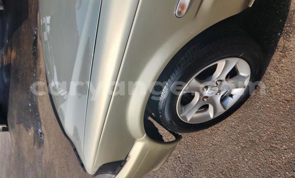 Buy Used Toyota Tacoma Brown Car in Windhoek in Namibia Buy Used Toyota Tacoma Brown Car in Windhoek in Namibia