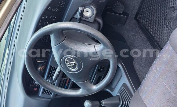 Buy Used Toyota Tacoma Brown Car in Windhoek in Namibia Buy Used Toyota Tacoma Brown Car in Windhoek in Namibia