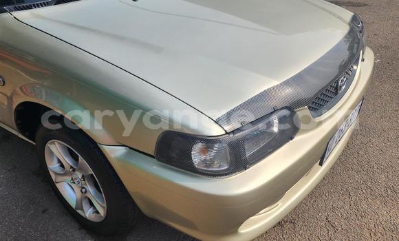 Buy Used Toyota Tacoma Brown Car in Windhoek in Namibia Buy Used Toyota Tacoma Brown Car in Windhoek in Namibia