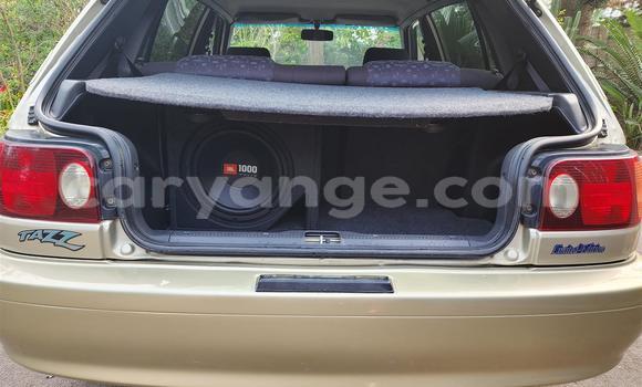 Buy Used Toyota Tacoma Brown Car in Windhoek in Namibia Buy Used Toyota Tacoma Brown Car in Windhoek in Namibia