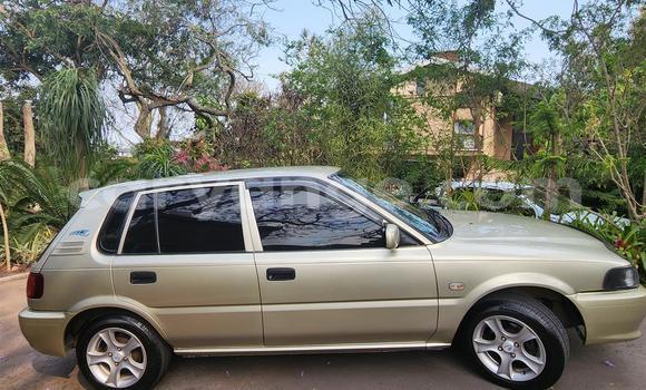 Buy Used Toyota Tacoma Brown Car in Windhoek in Namibia Buy Used Toyota Tacoma Brown Car in Windhoek in Namibia