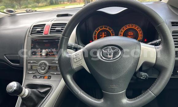 Buy Used Toyota Auris Brown Car in Windhoek in Namibia Buy Used Toyota Auris Brown Car in Windhoek in Namibia