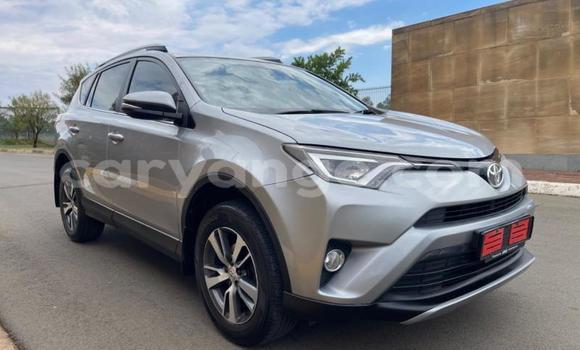 Buy Used Toyota RAV4 Silver Car in Swakopmund in Namibia