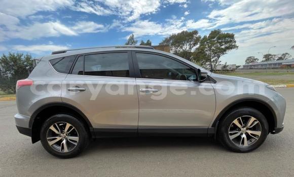 Buy Used Toyota RAV4 Silver Car in Swakopmund in Namibia Buy Used Toyota RAV4 Silver Car in Swakopmund in Namibia