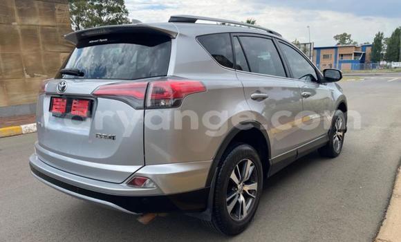 Buy Used Toyota RAV4 Silver Car in Swakopmund in Namibia Buy Used Toyota RAV4 Silver Car in Swakopmund in Namibia