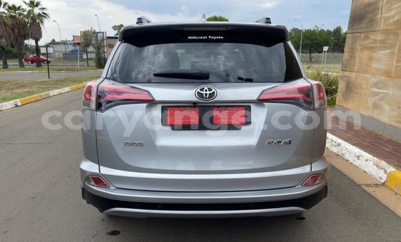 Buy Used Toyota RAV4 Silver Car in Swakopmund in Namibia Buy Used Toyota RAV4 Silver Car in Swakopmund in Namibia