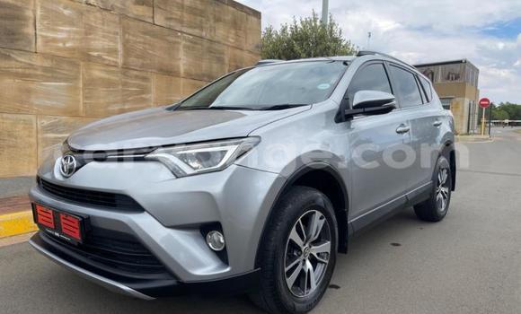 Buy Used Toyota RAV4 Silver Car in Swakopmund in Namibia Buy Used Toyota RAV4 Silver Car in Swakopmund in Namibia