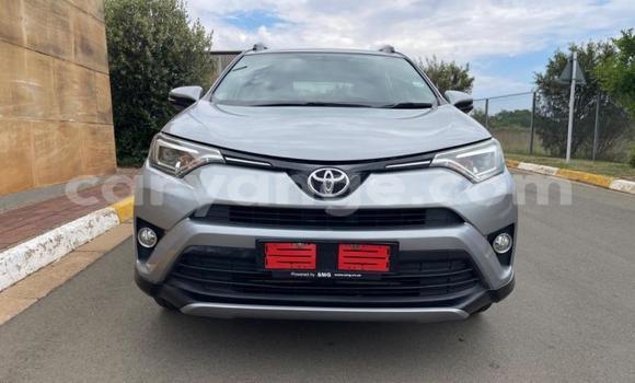 Buy Used Toyota RAV4 Silver Car in Swakopmund in Namibia Buy Used Toyota RAV4 Silver Car in Swakopmund in Namibia