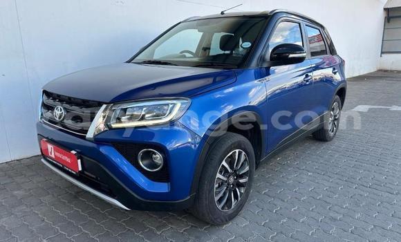 Buy Used Toyota Urban Cruiser Blue Car in Henties Bay in Erongo