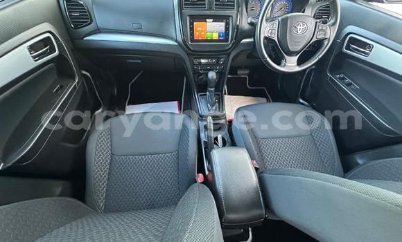 Buy Used Toyota Urban Cruiser Blue Car in Henties Bay in Erongo Buy Used Toyota Urban Cruiser Blue Car in Henties Bay in Erongo