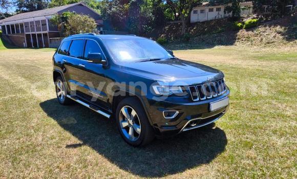 Buy Used Jeep Grand Cherokee Black Car in Gobabis in Omaheke