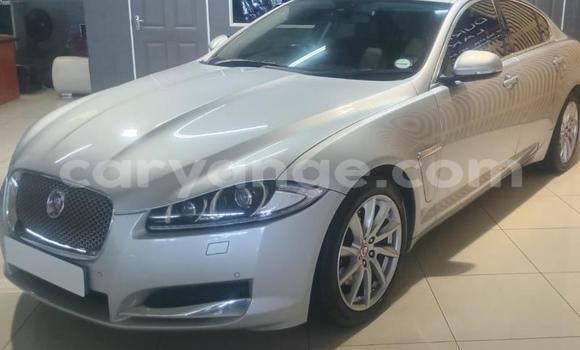 Buy Used Jaguar XF White Car in Gobabis in Omaheke