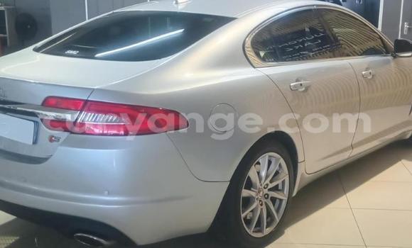 Acheter Occasion Voiture Jaguar XF Blanc à Gobabis, Omaheke Acheter Occasion Voiture Jaguar XF Blanc à Gobabis, Omaheke