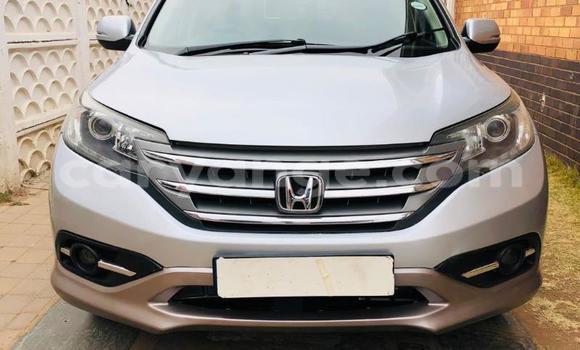 Buy Used Honda CR–V Other Car in Gobabis in Omaheke Buy Used Honda CR–V Other Car in Gobabis in Omaheke