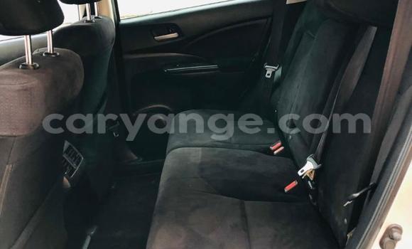 Buy Used Honda CR–V Other Car in Gobabis in Omaheke Buy Used Honda CR–V Other Car in Gobabis in Omaheke