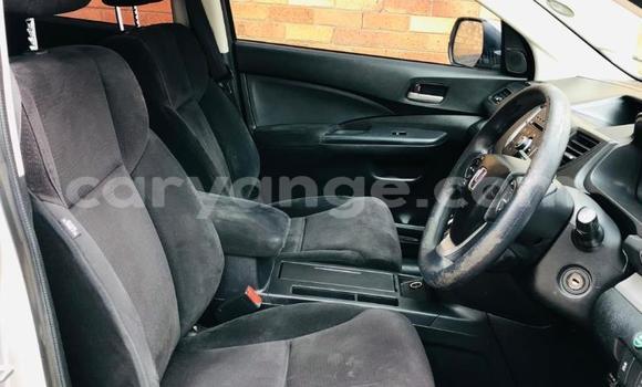 Buy Used Honda CR–V Other Car in Gobabis in Omaheke Buy Used Honda CR–V Other Car in Gobabis in Omaheke