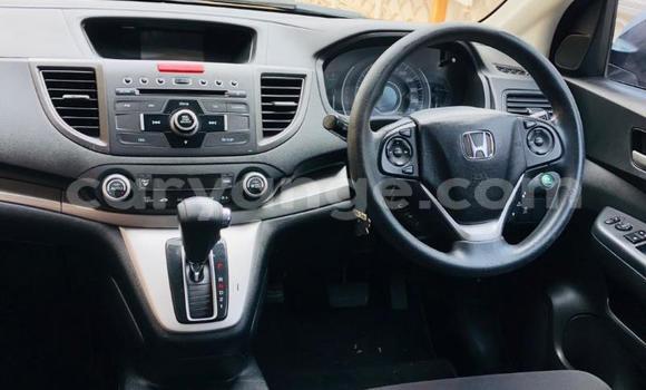 Buy Used Honda CR–V Other Car in Gobabis in Omaheke Buy Used Honda CR–V Other Car in Gobabis in Omaheke