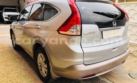 Buy Used Honda CR–V Other Car in Gobabis in Omaheke Buy Used Honda CR–V Other Car in Gobabis in Omaheke