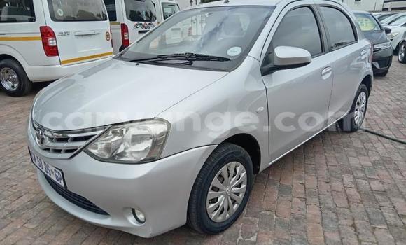 Buy Used Toyota Etios Silver Car in Gobabis in Omaheke