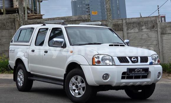 Buy Used Nissan Hardbody White Car in Henties Bay in Erongo Buy Used Nissan Hardbody White Car in Henties Bay in Erongo