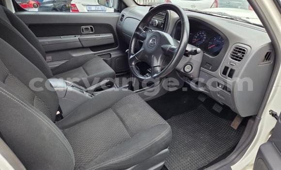 Buy Used Nissan Hardbody White Car in Henties Bay in Erongo Buy Used Nissan Hardbody White Car in Henties Bay in Erongo