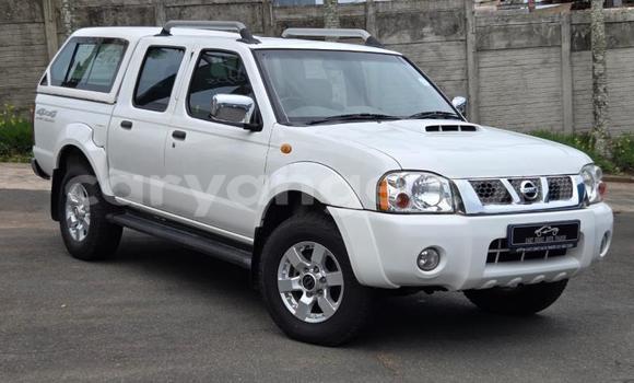 Buy Used Nissan Hardbody White Car in Henties Bay in Erongo Buy Used Nissan Hardbody White Car in Henties Bay in Erongo