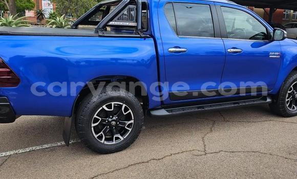 Buy Used Toyota Hilux Blue Car in Windhoek in Namibia Buy Used Toyota Hilux Blue Car in Windhoek in Namibia