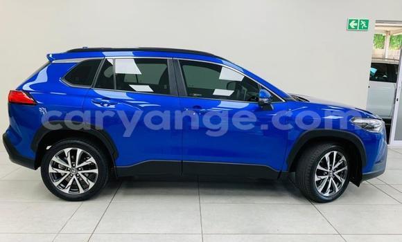 Buy Used Toyota Corolla Cross Blue Car in Windhoek in Namibia Buy Used Toyota Corolla Cross Blue Car in Windhoek in Namibia
