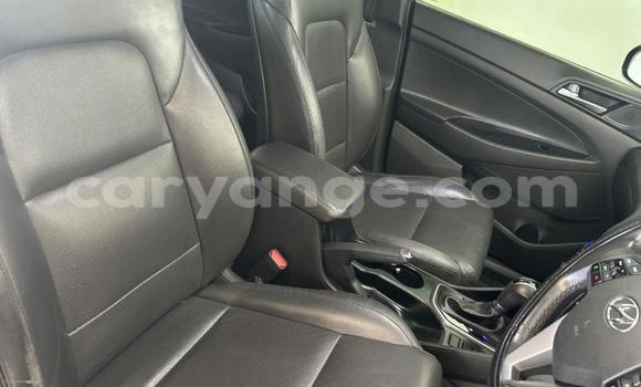 Buy Used Hyundai Tucson Silver Car in Windhoek in Namibia Buy Used Hyundai Tucson Silver Car in Windhoek in Namibia