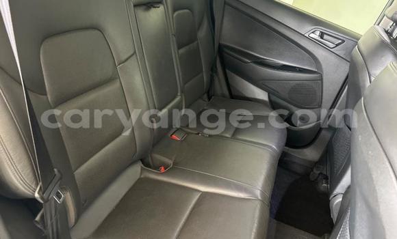 Buy Used Hyundai Tucson Silver Car in Windhoek in Namibia Buy Used Hyundai Tucson Silver Car in Windhoek in Namibia