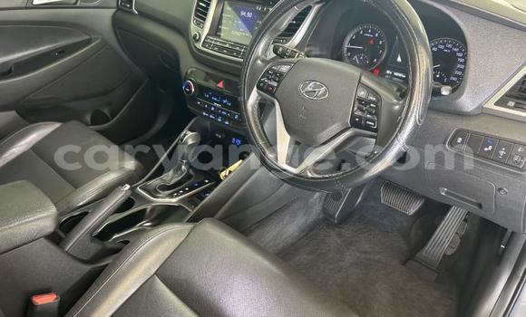 Buy Used Hyundai Tucson Silver Car in Windhoek in Namibia Buy Used Hyundai Tucson Silver Car in Windhoek in Namibia