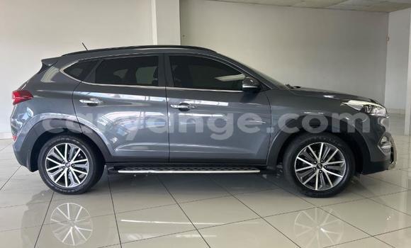 Buy Used Hyundai Tucson Silver Car in Windhoek in Namibia Buy Used Hyundai Tucson Silver Car in Windhoek in Namibia