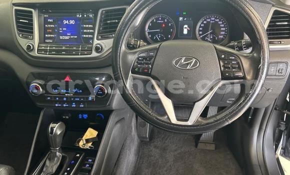 Buy Used Hyundai Tucson Silver Car in Windhoek in Namibia Buy Used Hyundai Tucson Silver Car in Windhoek in Namibia